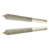 XPLOR - Indica Pre-roll