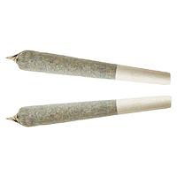 XPLOR - Sativa Pre-roll