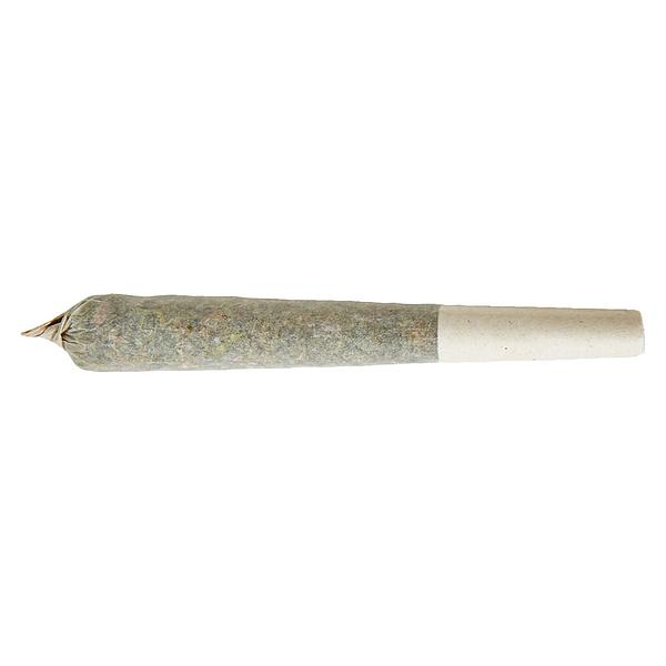 XPLOR - Sativa Pre-roll image 3
