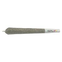 1Spliff - Pineapplex Pre-roll
