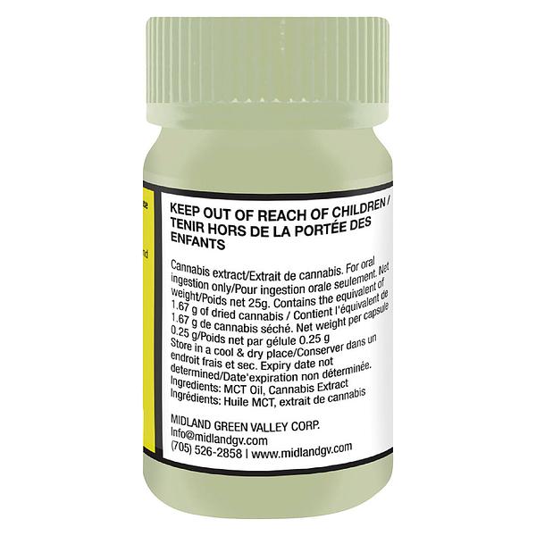 QCBD - High CBD 100 Caps  image 3