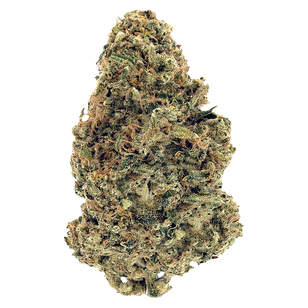 Woody Nelson Warehouse - Premium Smalls (Rotational)