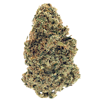 Woody Nelson Warehouse - Premium Smalls (Rotational)