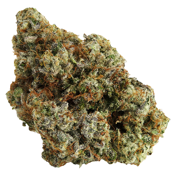 Northern Canna - Permanent Marker