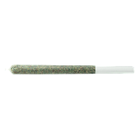 Mill Rite - Pink Moon Pre-Roll