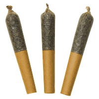 Dab Bods - Watermelon Mojo 60's+ Dbl Infused Pre-Roll