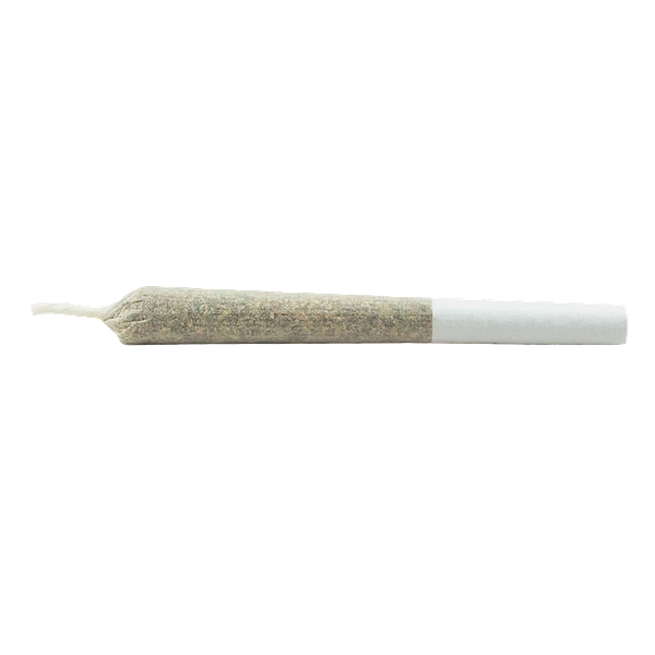 Daily Special - Sativa Js Pre Roll