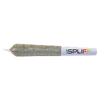 1Spliff - Purple Aya Pre Roll