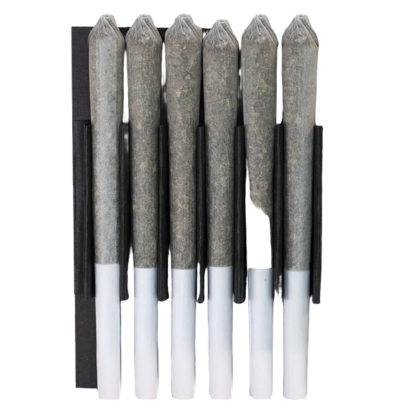 Station House - Amnesia Haze Pre Roll