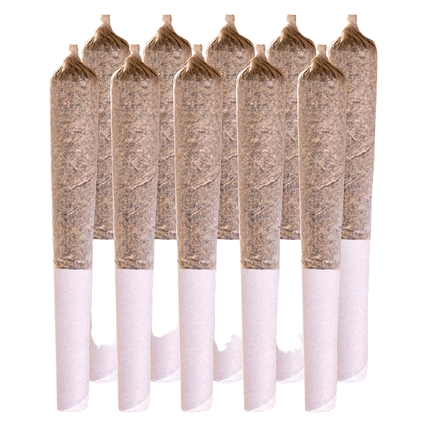 Station House - Amnesia Haze Pre Roll