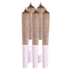 Station House - Amnesia Haze Pre Roll