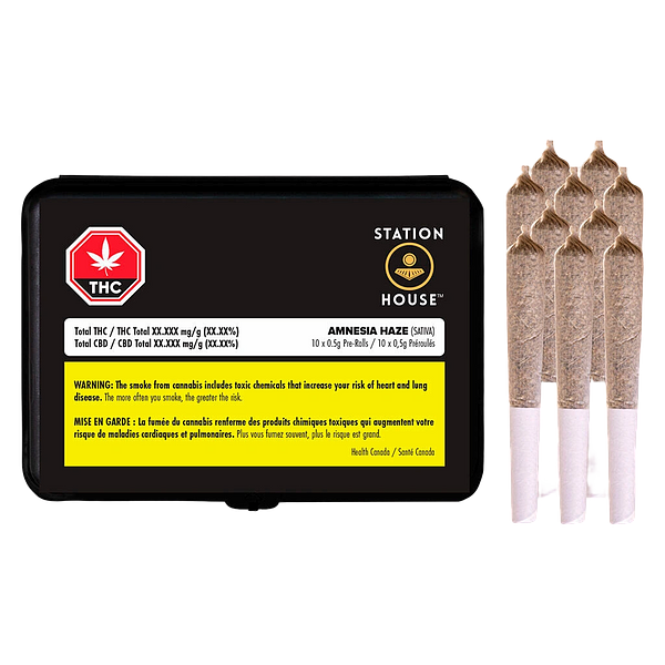 Station House - Amnesia Haze Pre Roll