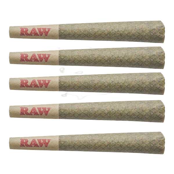 Orchid CBD - Cbd Runtz Pre Roll