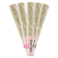 Orchid CBD - Cbd Runtz Pre Roll