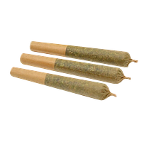 Weed Me - Mandarin Cookie Pre Roll