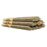 Carmel - Animal Face Pre Roll