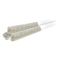 MSIKU - White Wedding Pre Roll