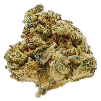 Station House - Og Kush