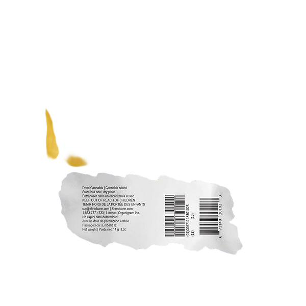 SHRED - Tropic Thunder