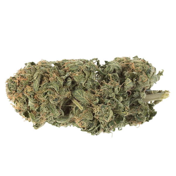 Station House - Ghost Train Haze