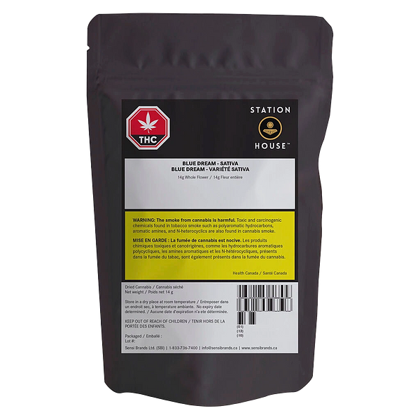 Station House - Blue Dream