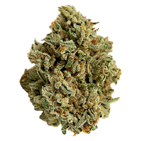 Color Cannabis - Mango Haze