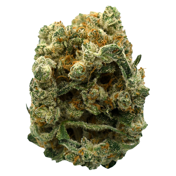 Color Cannabis - Ghost Train Haze