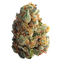 Spinach - Gmo Cookies