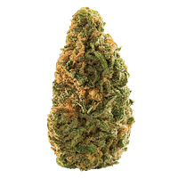 Spinach - Blue Dream