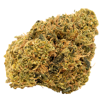 7ACRES - White Widow