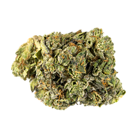 San Rafael '71 - Pink Kush