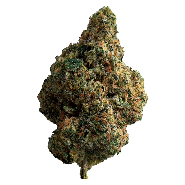 The Loud Plug - Exotic Gas