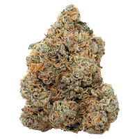 The Loud Plug - Exotic Gas