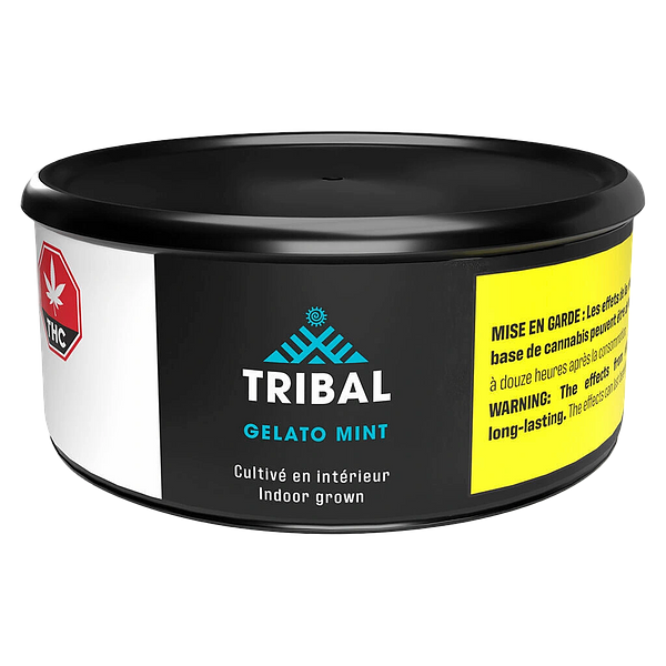 Tribal - Gelato Mint
