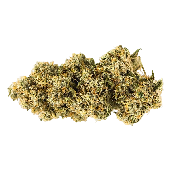 Carmel - Animal Face