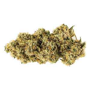 Carmel - Animal Face