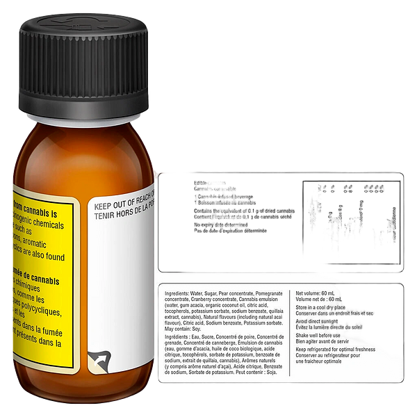 Field Trip - Acai Retreat