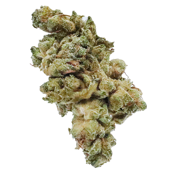 Station House - Gg#4