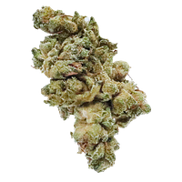 Station House - Gg#4