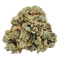 Station House - Amnesia Haze