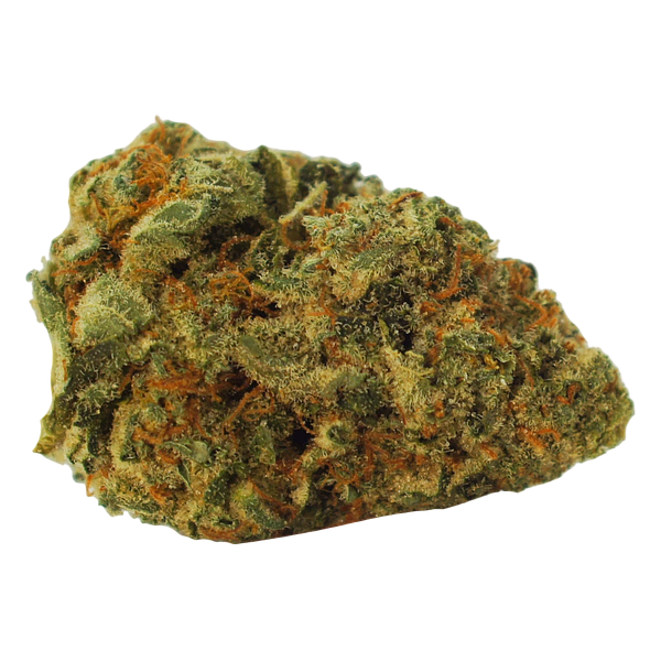 Hunny Pot - Limited Drip