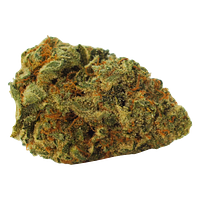 Hunny Pot - Limited Drip