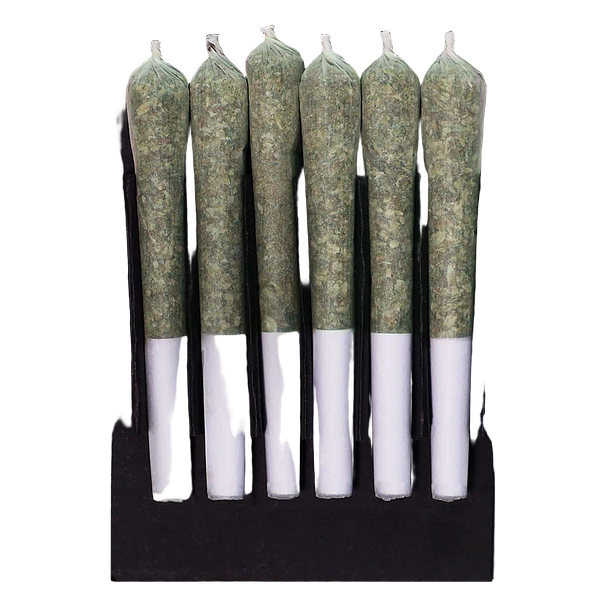 Station House - Pre Roll Variety Pack