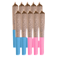 Station House - Pre Roll Variety Pack