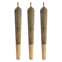 Choice Growers - Jeffrey Pre Roll