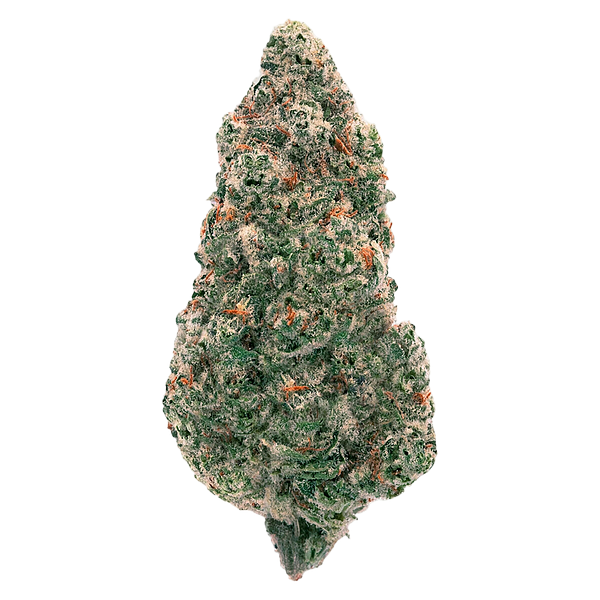 Back Forty - Mandarin Cookies