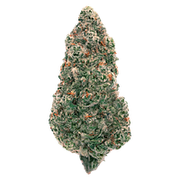 Back Forty - Mandarin Cookies