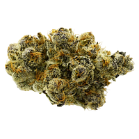 True Fire - 33 Splitter