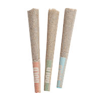 BOLD - Craft Sampler Pre Rolls