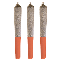 Potluck - Orange Layer Cake Pre Rolls